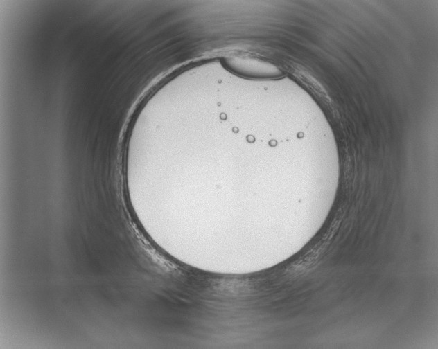 X0000074940800200609221703