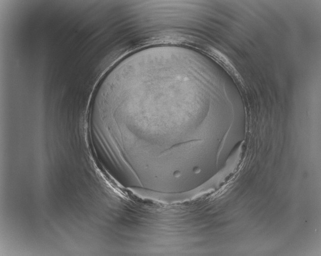 X0000074940802200609221703