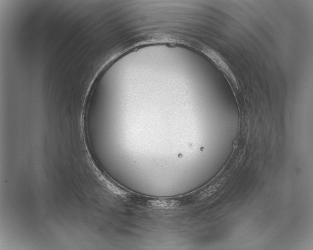 X0000074940805200609221703