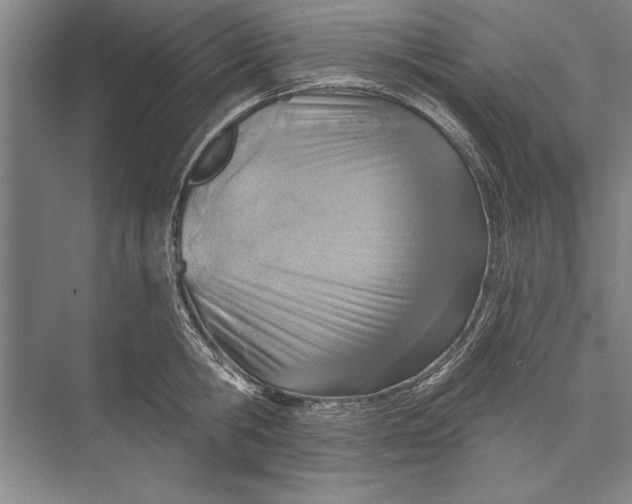 X0000074940806200609221703