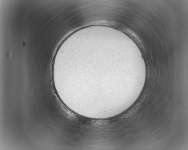 X0000074940808200609221703