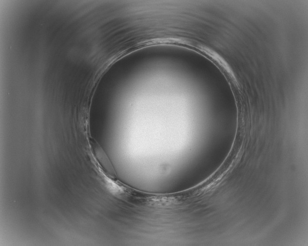 X0000074940809200609221703