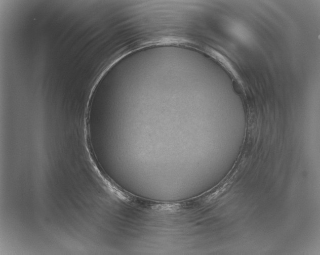 X0000074940810200609221703