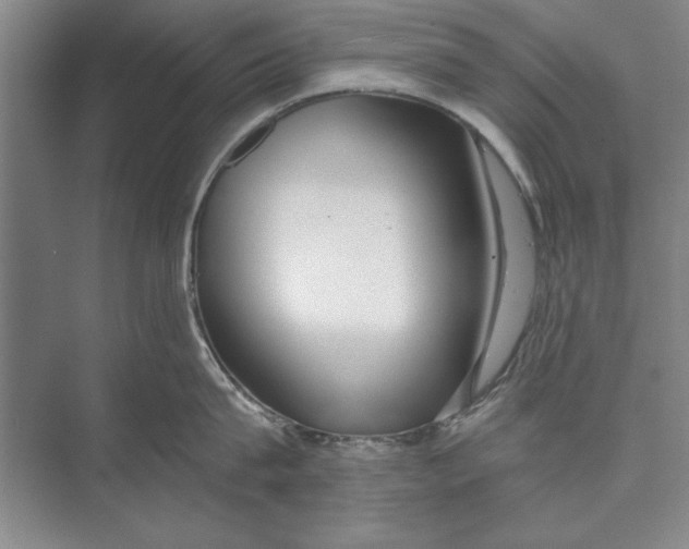 X0000074940815200609221703