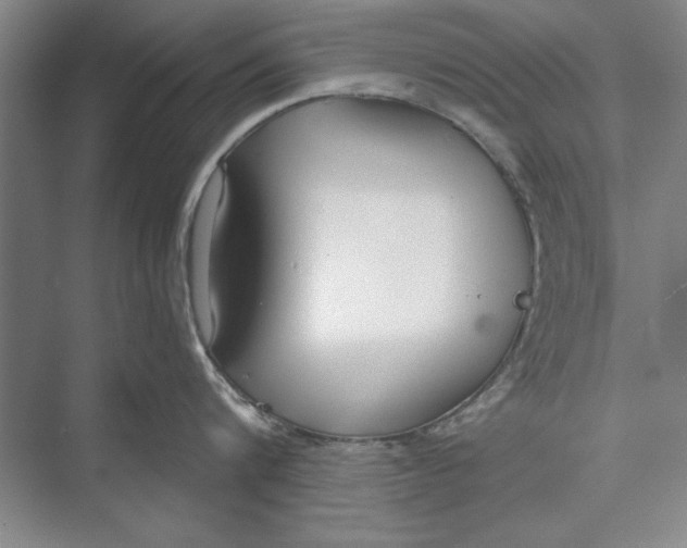 X0000074940816200609221703