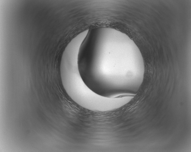 X0000074940818200609221702