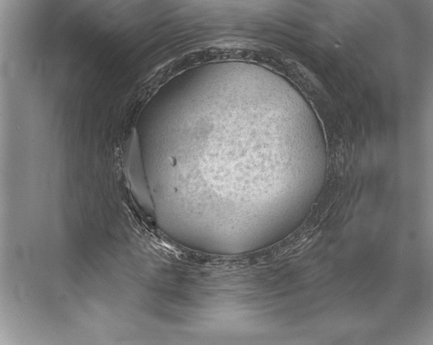 X0000074940821200609221702