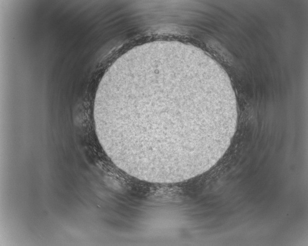 X0000074940824200609221702