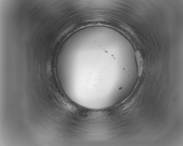 X0000074940826200609221702