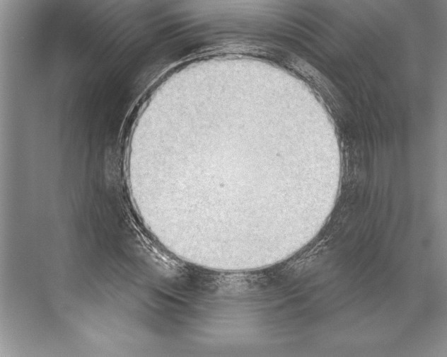 X0000074940828200609221702