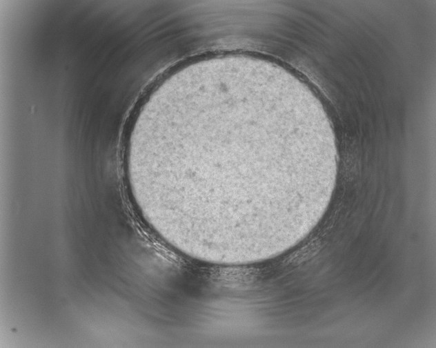 X0000074940832200609221703