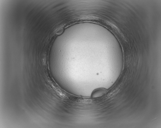 X0000074940833200609221703