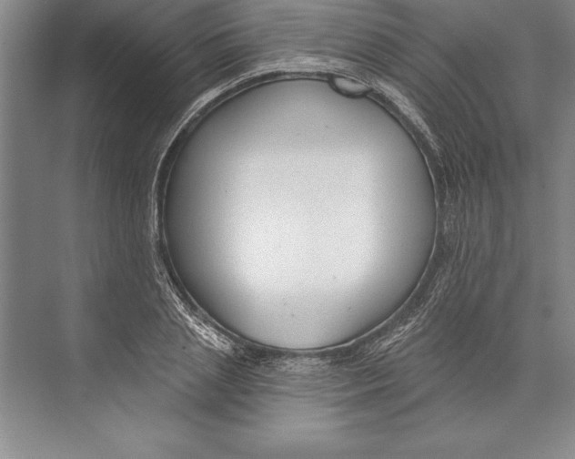 X0000074940837200609221703