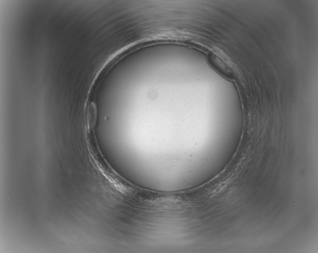 X0000074940838200609221703