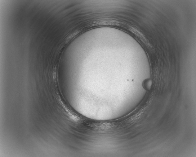 X0000074940841200609221703