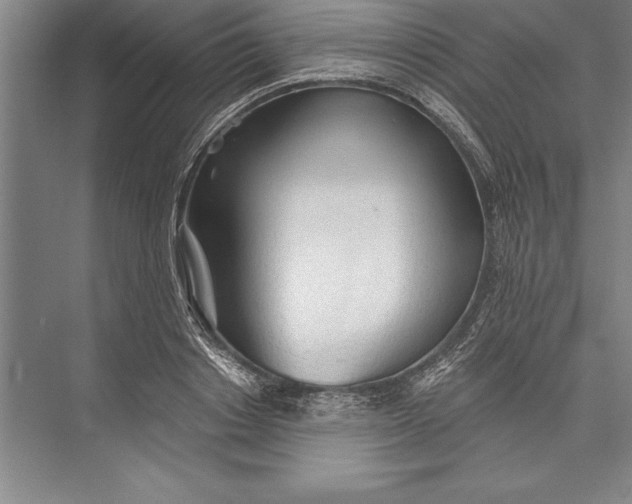 X0000074940842200609221703