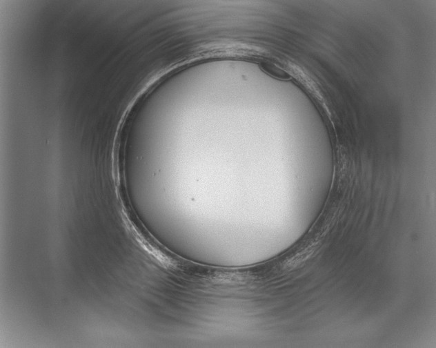 X0000074940843200609221703