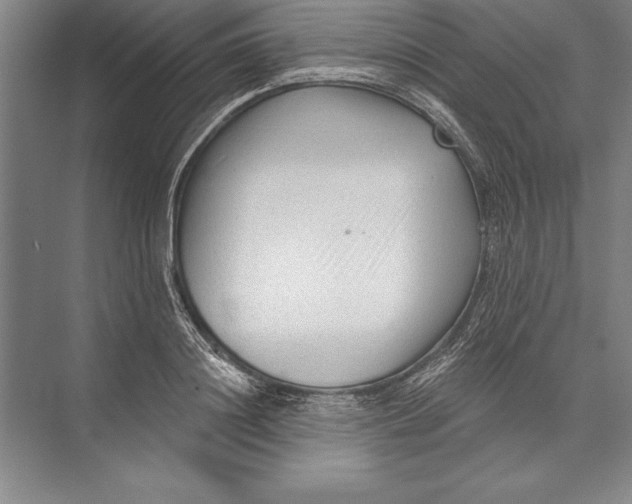 X0000074940844200609221703