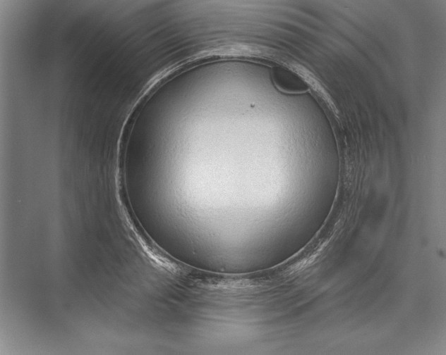 X0000074940845200609221703