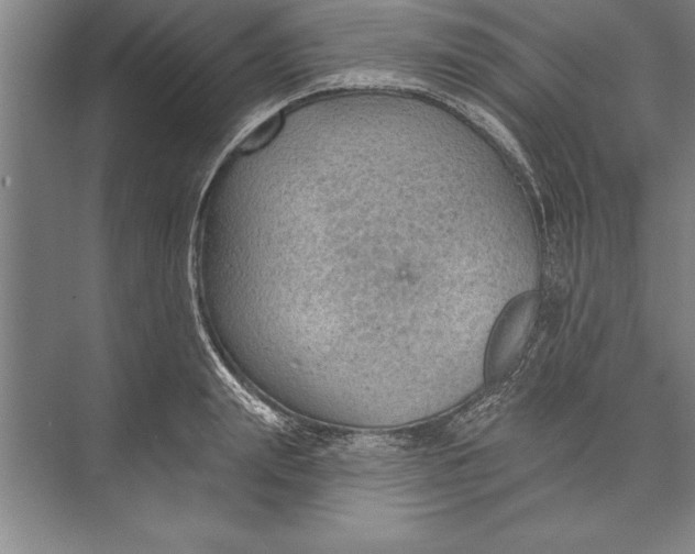 X0000074940847200609221703