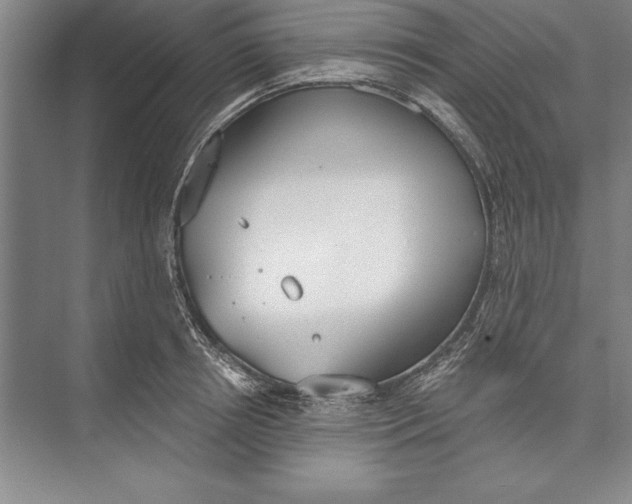 X0000074940850200609221703