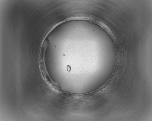 X0000074940852200609221703