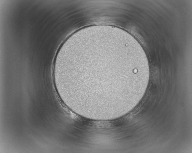 X0000074940856200609221703