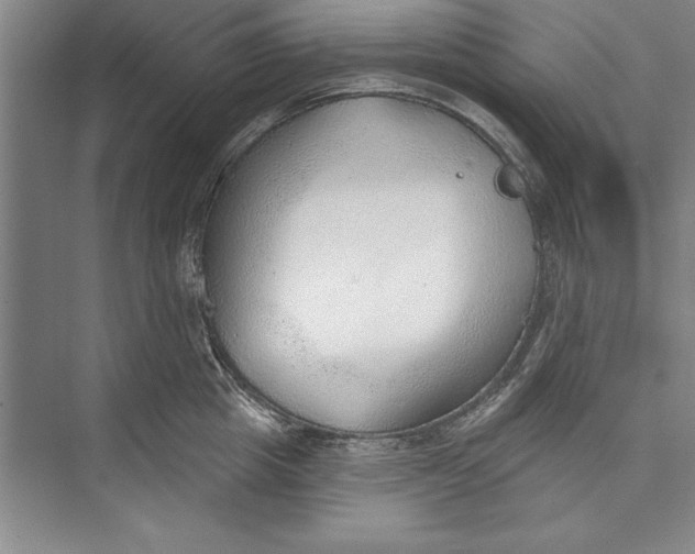 X0000074940857200609221703