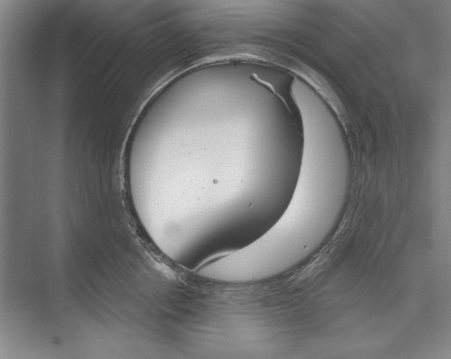 X0000074940858200609221703