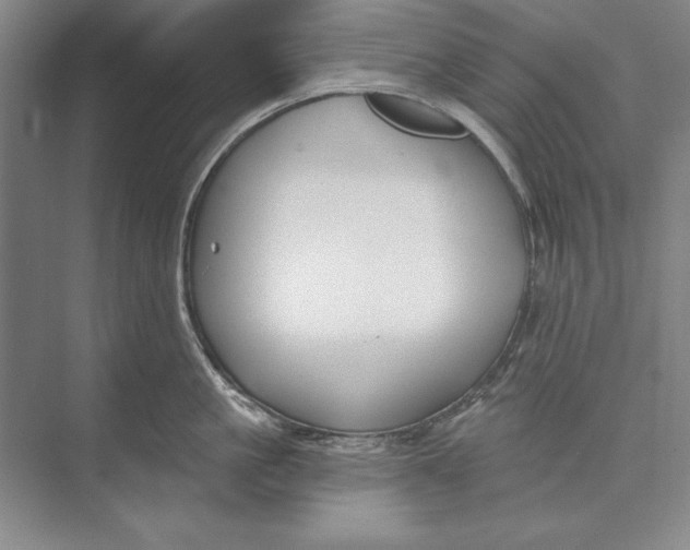 X0000074940861200609221703