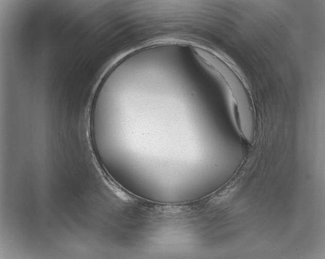 X0000074940862200609221703