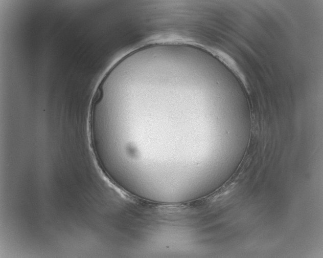 X0000074940863200609221703