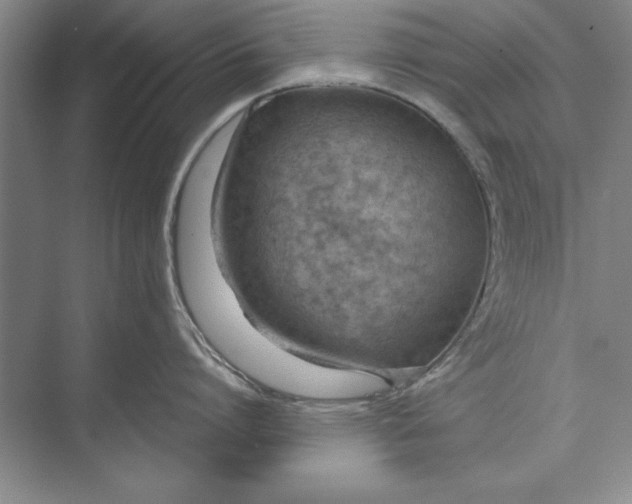 X0000074940864200609221703