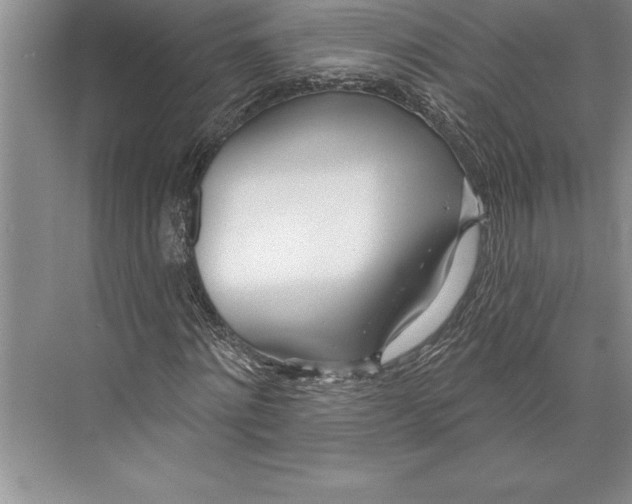 X0000074940868200609221702