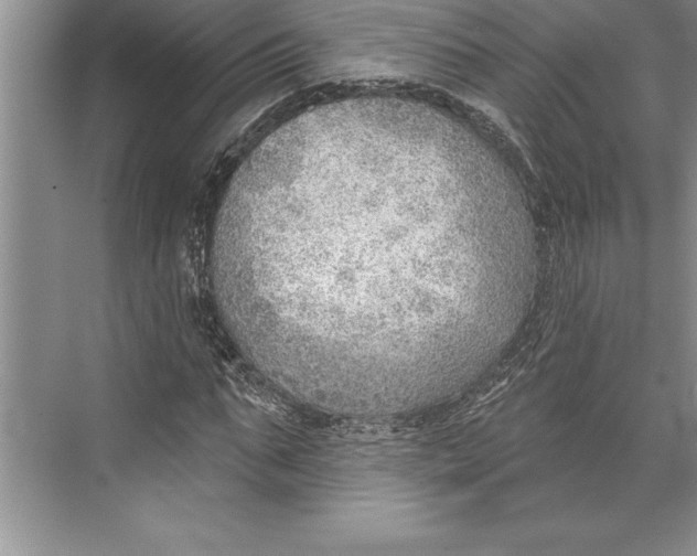 X0000074940871200609221702