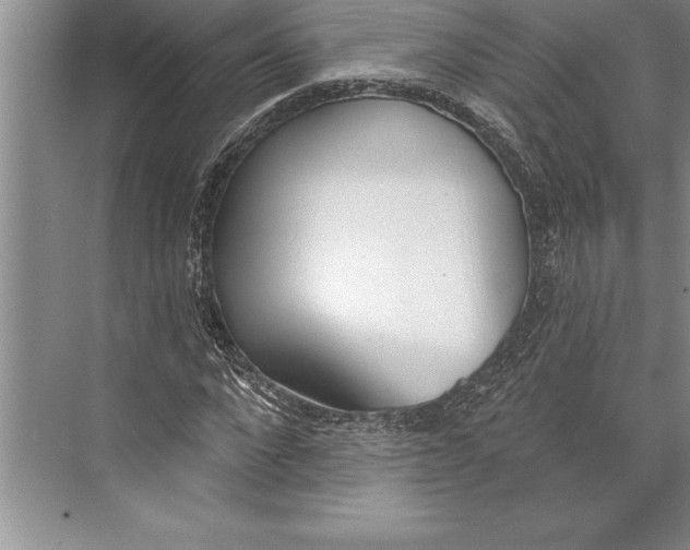 X0000074940872200609221702