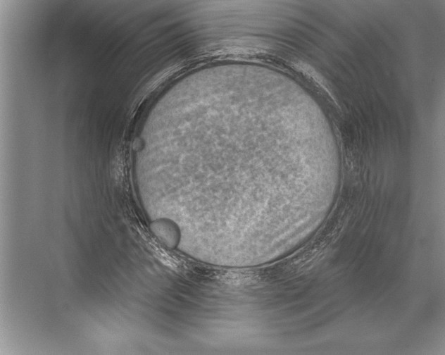 X0000074940874200609221702