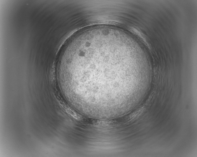 X0000074940875200609221702