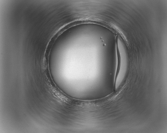 X0000074940876200609221702