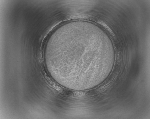 X0000074940878200609221702