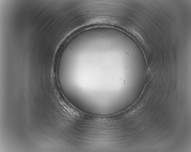 X0000074940880200609221702