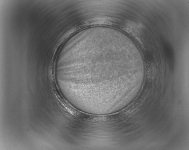 X0000074940882200609221702