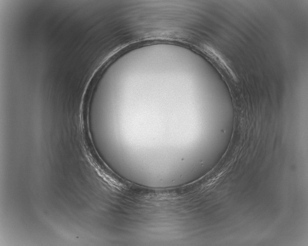 X0000074940884200609221702