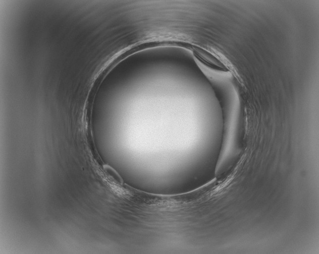 X0000074940885200609221702