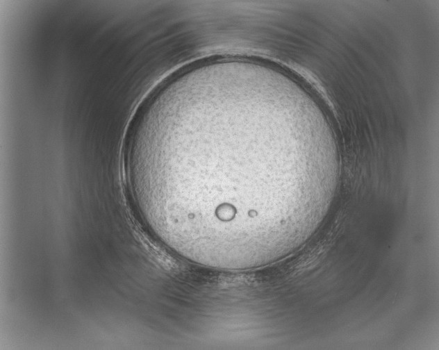 X0000074940887200609221702