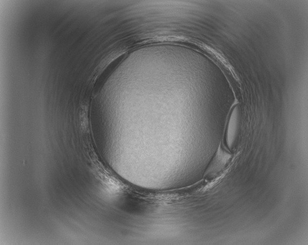 X0000074940889200609221702