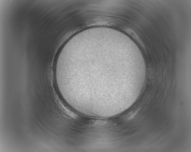 X0000074940890200609221702