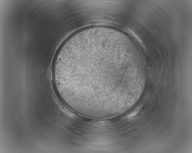 X0000074940891200609221702