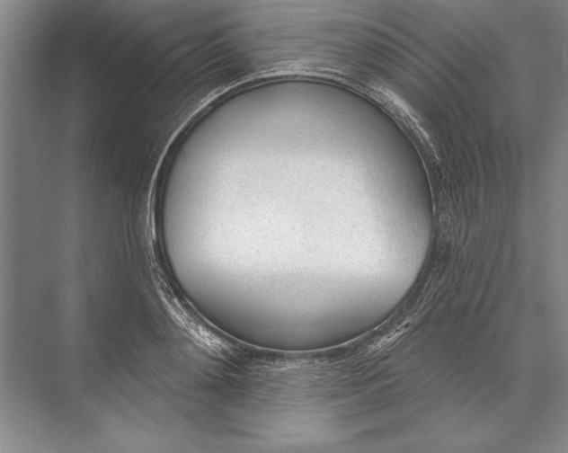 X0000074940892200609221702