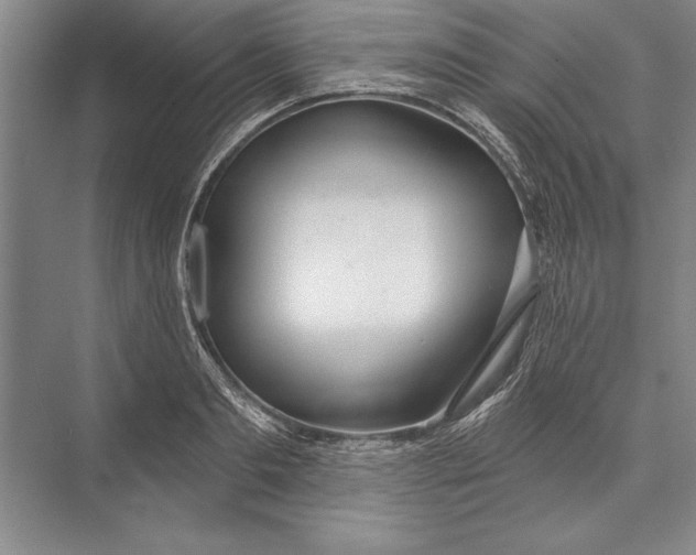 X0000074940893200609221702